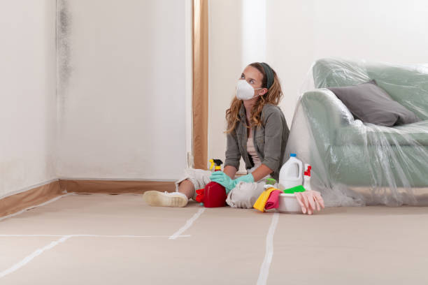 Reliable Commercial Mold Remediation contractor in Somerville, TN by WQB Mold Removal