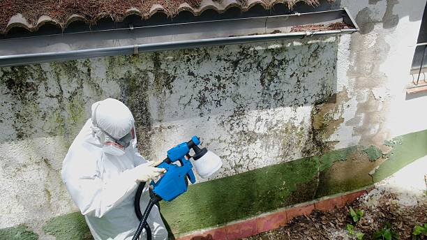 Top rated local Commercial Mold Remediation specialists in Somerville, TN